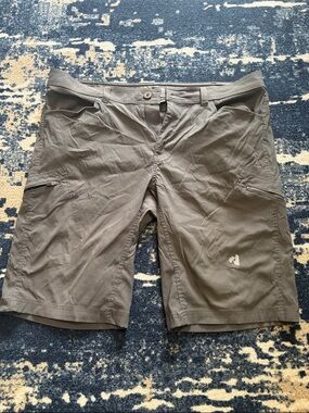 Eddie Bauer Men’s Gray Hybrid Outdoor Shorts